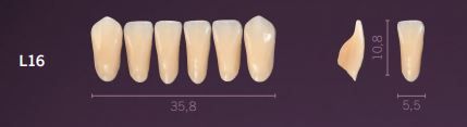 L16-B4 PREMIUM TEETH LOWER ANTERIOR