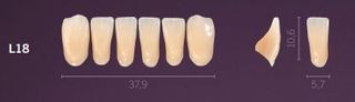 L18-A2 PREMIUM TEETH LOWER ANTERIOR