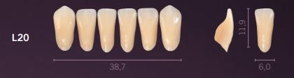 L20-A1 PREMIUM TEETH LOWER ANTERIOR