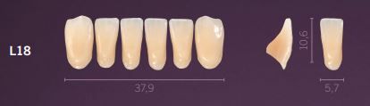 L18-B4 PREMIUM TEETH LOWER ANTERIOR