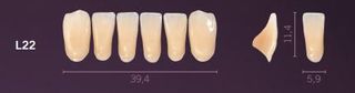 L22-A1 PREMIUM TEETH LOWER ANTERIOR