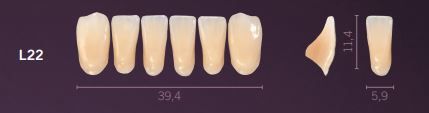 L22-A3 PREMIUM TEETH LOWER ANTERIOR