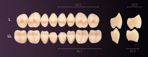 LL-D2L PREMIUM TEETH LOWER POSTERIOR