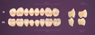 M-A1U PREMIUM TEETH UPPER POSTERIOR