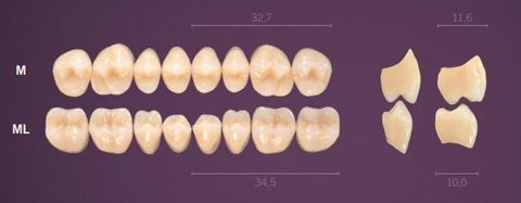 ML-A2L PREMIUM TEETH LOWER POSTERIOR