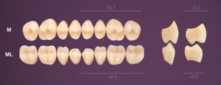 ML-A2L PREMIUM TEETH LOWER POSTERIOR