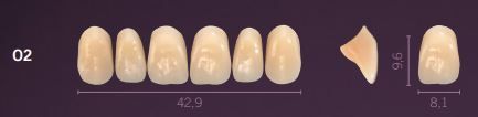 O2-B1 PREMIUM TEETH UPPER ANTERIOR