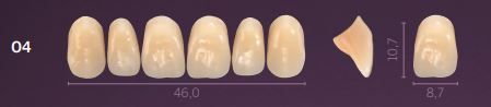 O4-A4 PREMIUM TEETH UPPER ANTERIOR