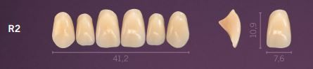 R2-A1 PREMIUM TEETH UPPER ANTERIOR