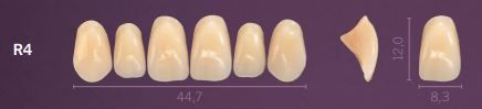 R4-B1 PREMIUM TEETH UPPER ANTERIOR