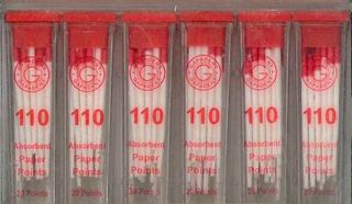 PAPER POINTS CC 110 VIAL/34