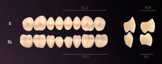 S-A1U PREMIUM TEETH UPPER POSTERIOR