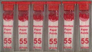 PAPER POINTS CC 55 VIAL/34