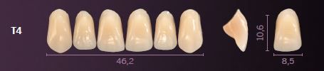 T4-B3 PREMIUM TEETH UPPER ANTERIOR