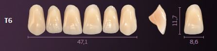 T6-A2 PREMIUM TEETH UPPER ANTERIOR