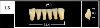 L3 A1 LOWER ANTERIOR TRIBOS TEETH