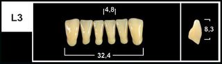 L3 A2 LOWER ANTERIOR TRIBOS TEETH