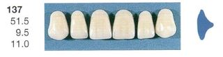 137-A35U ANTERIOR SENATOR TEETH