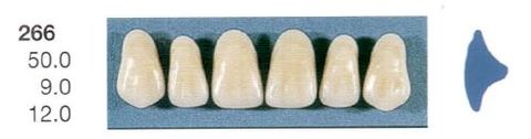 266-B2U ANTERIOR SENATOR TEETH