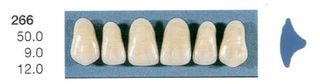 266-B3U ANTERIOR SENATOR TEETH