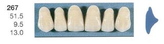 267-A4U ANTERIOR SENATOR TEETH