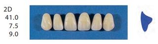 2D-A2U ANTERIOR SENATOR TEETH