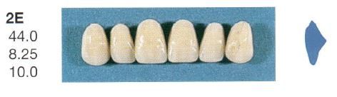 2E-A35U ANTERIOR SENATOR TEETH