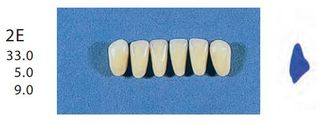 2E-D3L ANTERIOR SENATOR TEETH