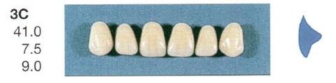 3C-A2U ANTERIOR SENATOR TEETH