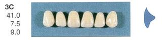 3C-A2U ANTERIOR SENATOR TEETH