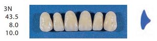 3N-A2U ANTERIOR SENATOR TEETH