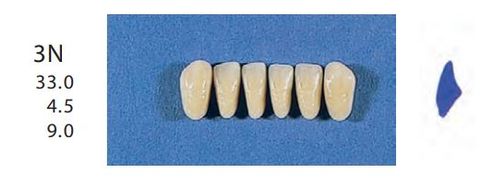 3N-B2L ANTERIOR SENATOR TEETH