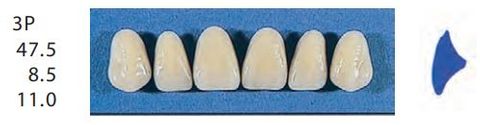 3P-A2U ANTERIOR SENATOR TEETH