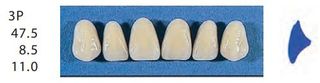 3P-A2U ANTERIOR SENATOR TEETH