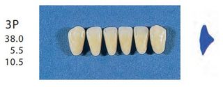 3P-A35L ANTERIOR SENATOR TEETH