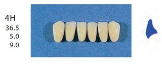 4H-A1L ANTERIOR SENATOR TEETH