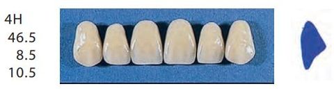 4H-A1U ANTERIOR SENATOR TEETH