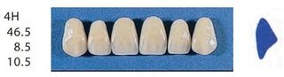 4H-C3U ANTERIOR SENATOR TEETH