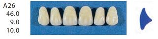 A26-A1U ANTERIOR SENATOR TEETH