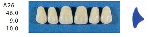 A26-A2U ANTERIOR SENATOR TEETH