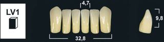 LV1 A1 LOWER ANTERIOR TRIBOS TEETH