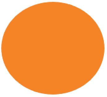 M/GUARD RD 4MM FLUOR BLAZE ORANGE 120MM