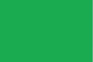 M/GUARD SQ 4MM FLUOR SIGNAL GREEN 127MM