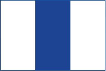 M/GUARD SQ 4MM WHITE/DKBLUE 3 STRIPE 127MM