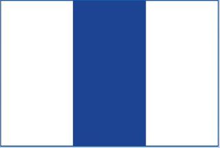 M/GUARD SQ 4MM WHITE/DKBLUE 3 STRIPE 127MM