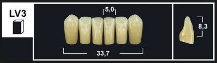 LV3 A1 LOWER ANTERIOR TRIBOS TEETH