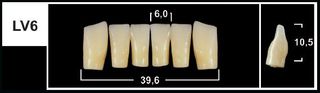 LV6 A1 LOWER ANTERIOR TRIBOS TEETH