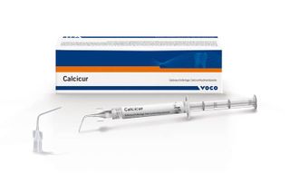 CALCICUR SYRINGE 2ML