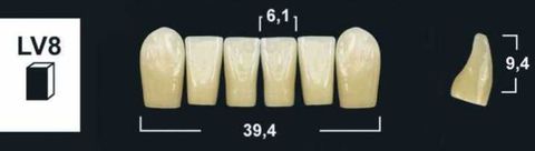 LV8 A3 LOWER ANTERIOR TRIBOS TEETH