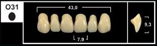 O31 A1 UPPER ANTERIOR TRIBOS TEETH